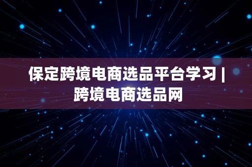 保定跨境电商选品平台学习 | 跨境电商选品网