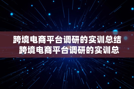 跨境电商平台调研的实训总结  跨境电商平台调研的实训总结报告