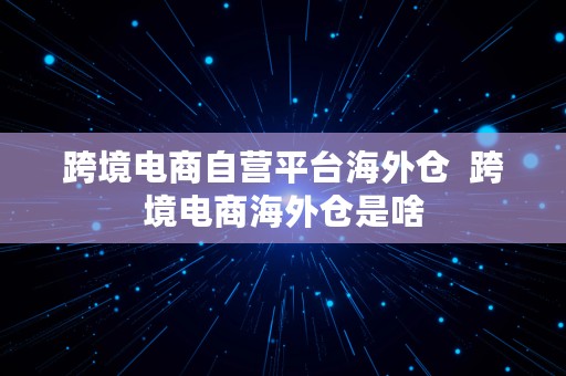 跨境电商自营平台海外仓  跨境电商海外仓是啥