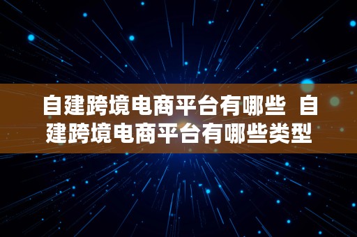 自建跨境电商平台有哪些  自建跨境电商平台有哪些类型