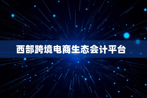 西部跨境电商生态会计平台  