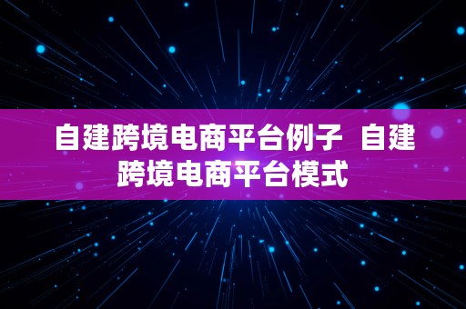 自建跨境电商平台例子  自建跨境电商平台模式