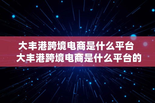 大丰港跨境电商是什么平台  大丰港跨境电商是什么平台的