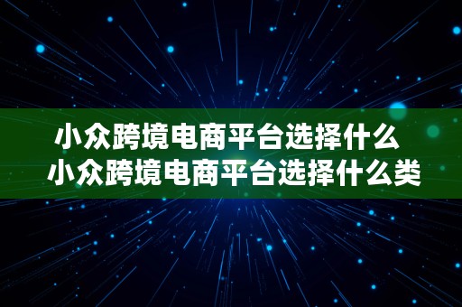 小众跨境电商平台选择什么  小众跨境电商平台选择什么类型