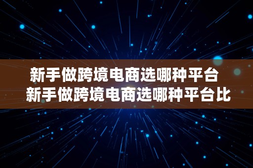 新手做跨境电商选哪种平台  新手做跨境电商选哪种平台比较好