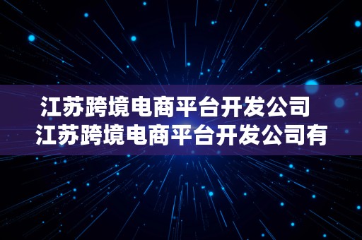 江苏跨境电商平台开发公司  江苏跨境电商平台开发公司有哪些