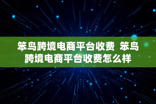 笨鸟跨境电商平台收费  笨鸟跨境电商平台收费怎么样