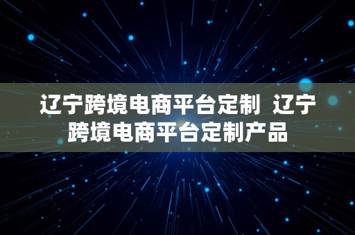 辽宁跨境电商平台定制  辽宁跨境电商平台定制产品