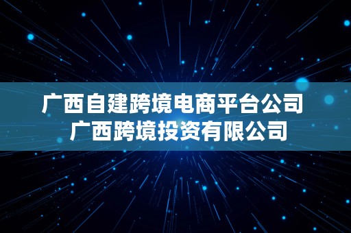 广西自建跨境电商平台公司  广西跨境投资有限公司