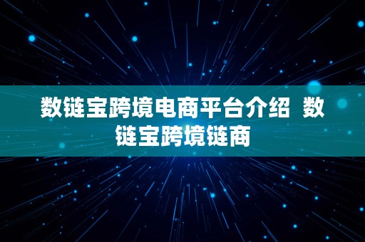 数链宝跨境电商平台介绍  数链宝跨境链商