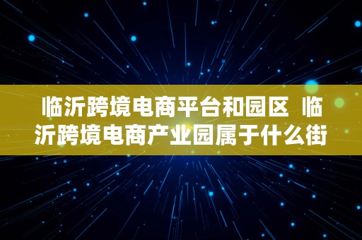 临沂跨境电商平台和园区  临沂跨境电商产业园属于什么街道