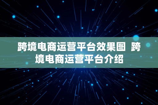 跨境电商运营平台效果图  跨境电商运营平台介绍