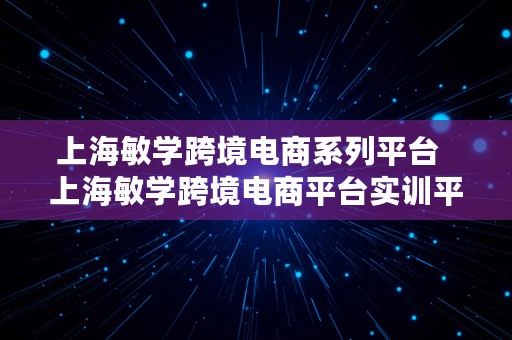 上海敏学跨境电商系列平台  上海敏学跨境电商平台实训平台操作