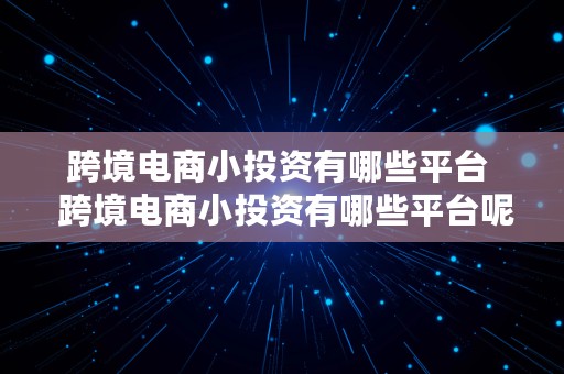 跨境电商小投资有哪些平台  跨境电商小投资有哪些平台呢