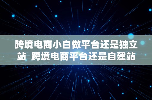 跨境电商小白做平台还是独立站  跨境电商平台还是自建站