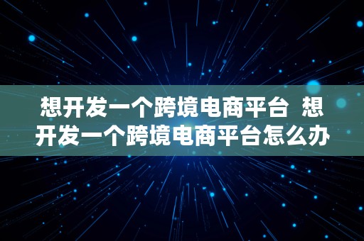 想开发一个跨境电商平台  想开发一个跨境电商平台怎么办