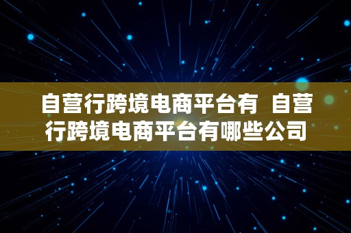 自营行跨境电商平台有  自营行跨境电商平台有哪些公司