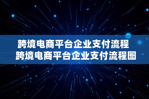 跨境电商平台企业支付流程  跨境电商平台企业支付流程图