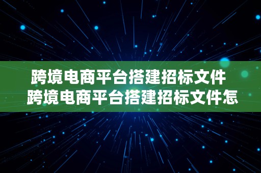 跨境电商平台搭建招标文件  跨境电商平台搭建招标文件怎么写