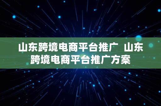 山东跨境电商平台推广  山东跨境电商平台推广方案