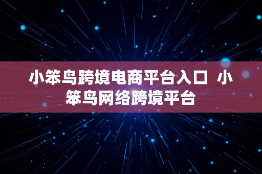 小笨鸟跨境电商平台入口  小笨鸟网络跨境平台