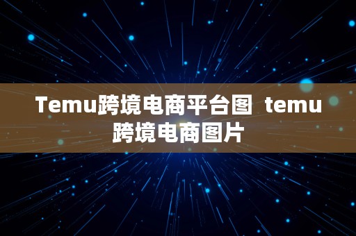 Temu跨境电商平台图  temu跨境电商图片