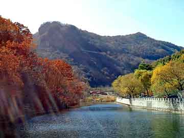 渤海区跨境电商平台  渤海区跨境电商平台有哪些